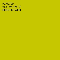 #C7C700 - Bird Flower Color Image